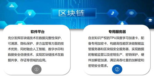 中央一號文件 科技賦能農(nóng)業(yè)，第五代網(wǎng)絡(luò)技術(shù)與人工智能物聯(lián)網(wǎng)引領(lǐng)新時代農(nóng)業(yè)網(wǎng)站建設(shè)